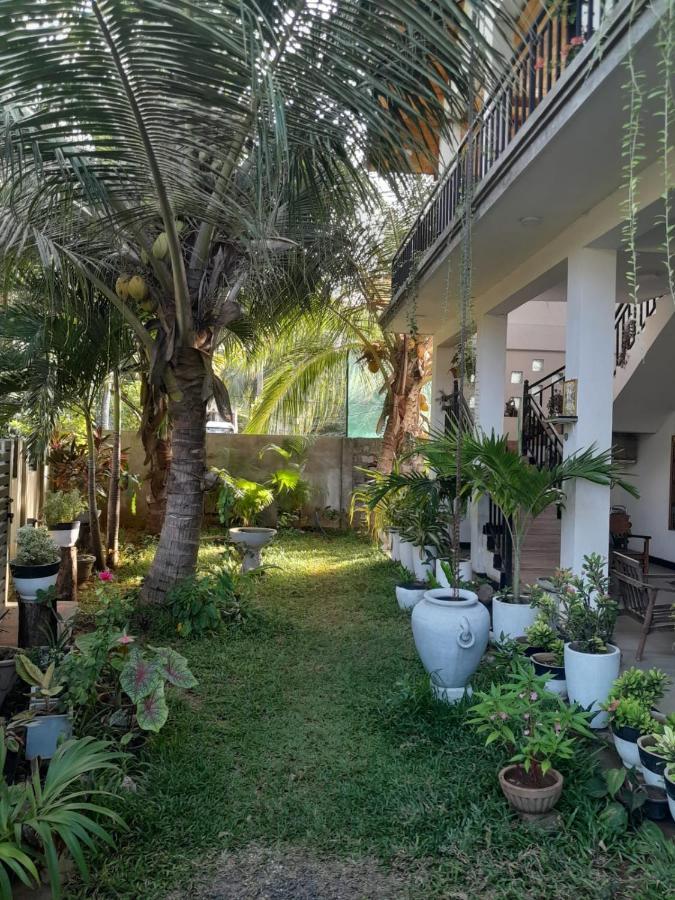 Rose Fort Homestay 贾夫纳 外观 照片